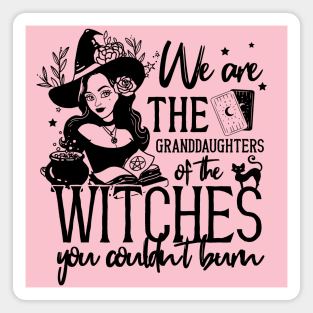 Halloween Feminist Granddaughters of Witches Magnet